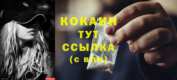 прущие грибы Костерёво