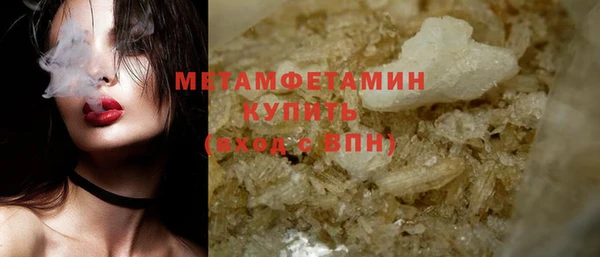 прущие грибы Костерёво