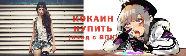 мдпв Кодинск