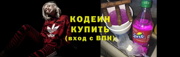 прущие грибы Костерёво