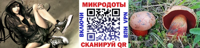 Купить где  Белорецк  Псилоцибиновые грибы GOLDEN TEACHER 